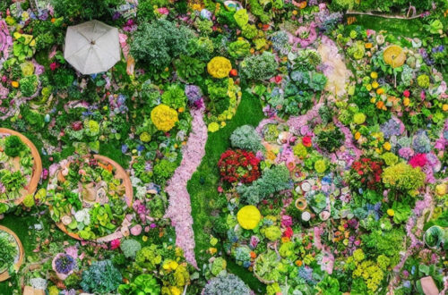 Sådan skaber du en unik og underholdende havesoil til din næste sommerfest